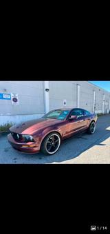 Ford MEGA  ANGEBOT - Ford Mustang aus 2006: Coupe