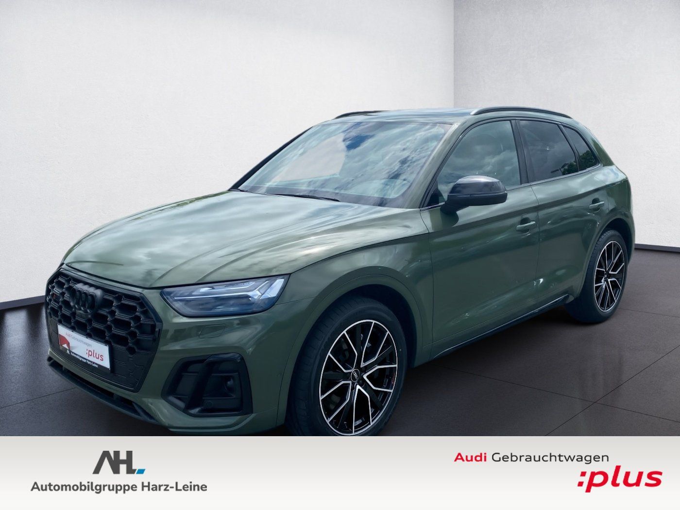 AUDI SQ5 SUV 3.0 TDI quattro Tiptronic Matrix Navi Pa