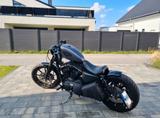 Harley-Davidson Sportster Iron 883 - Offers