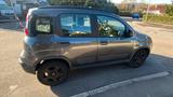 Fiat New Panda 1.2 8V CITY CROSS - Fiat New Panda von privat