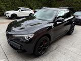 Alfa Romeo Stelvio Quadrifoglio Q4 *1.Hand*MwST*Harman &Kar - Alfa Romeo Stelvio Gebrauchtwagen in München