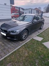 BMW 320d  - BMW 320: Braun, Leder