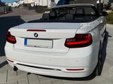 BMW 220i Cabrio Sport Line|TÜV neu|Xenon|Navi|Sitzhz - gebrauchte Cabrios in Trier