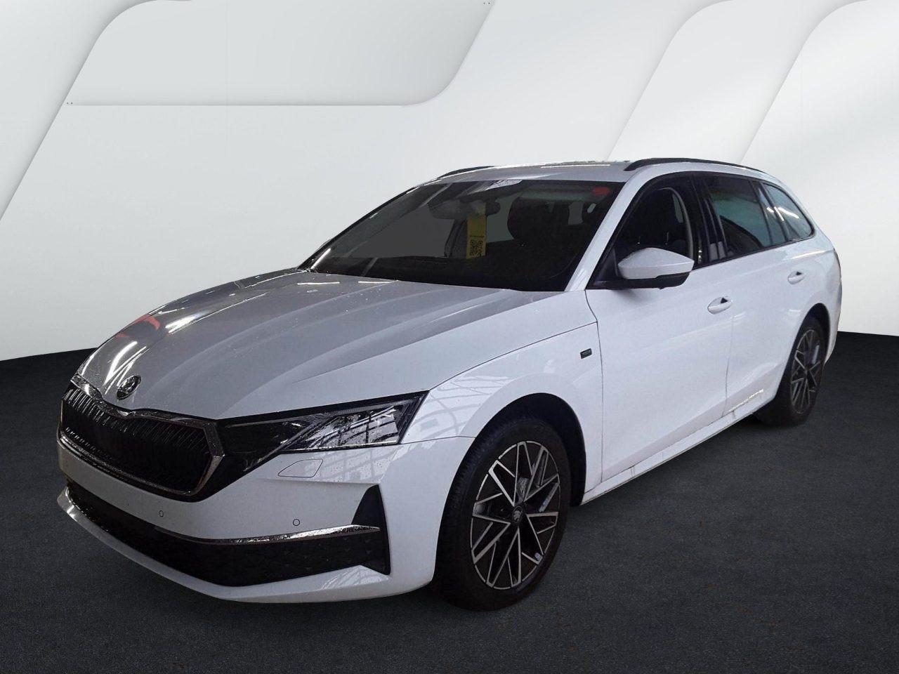 Skoda Combi 2.0 TDI Tour LED Matrix AHK 360Grad Virtul