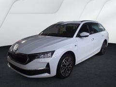 SKODA Combi 2.0 TDI Tour LED Matrix AHK 360Grad Virtul