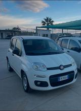 Andere Fiat - Benzin