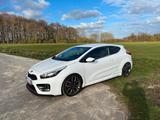 Kia ProCeed GT Challenge | RECARO | NAVI | MAXTON - Kia pro cee'd / ProCeed: Limousine