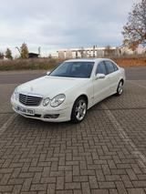 Mercedes-Benz E 230 AVANTGARDE Avantgarde - gebrauchte Mercedes-Benz E 230 aus dem Jahr 2008