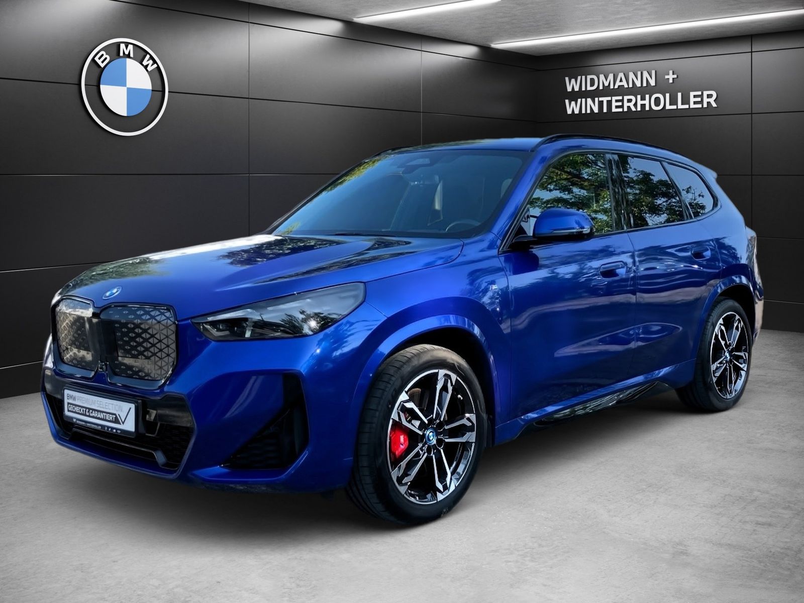 BMW iX1 xDrive30 M Sport Pro HUD LC Prof. DA H K PA foto 1