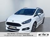 Ford S-MAX ST-Line 2.0 EcoBlue Automatik NAVI Kamera - Ford Gebrauchtwagen in Brandenburg an der Havel