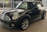 MINI COOPER Cabrio 1.6 Highgate-LEDER-XENON-PDC-17" - MINI MINI: 1.6