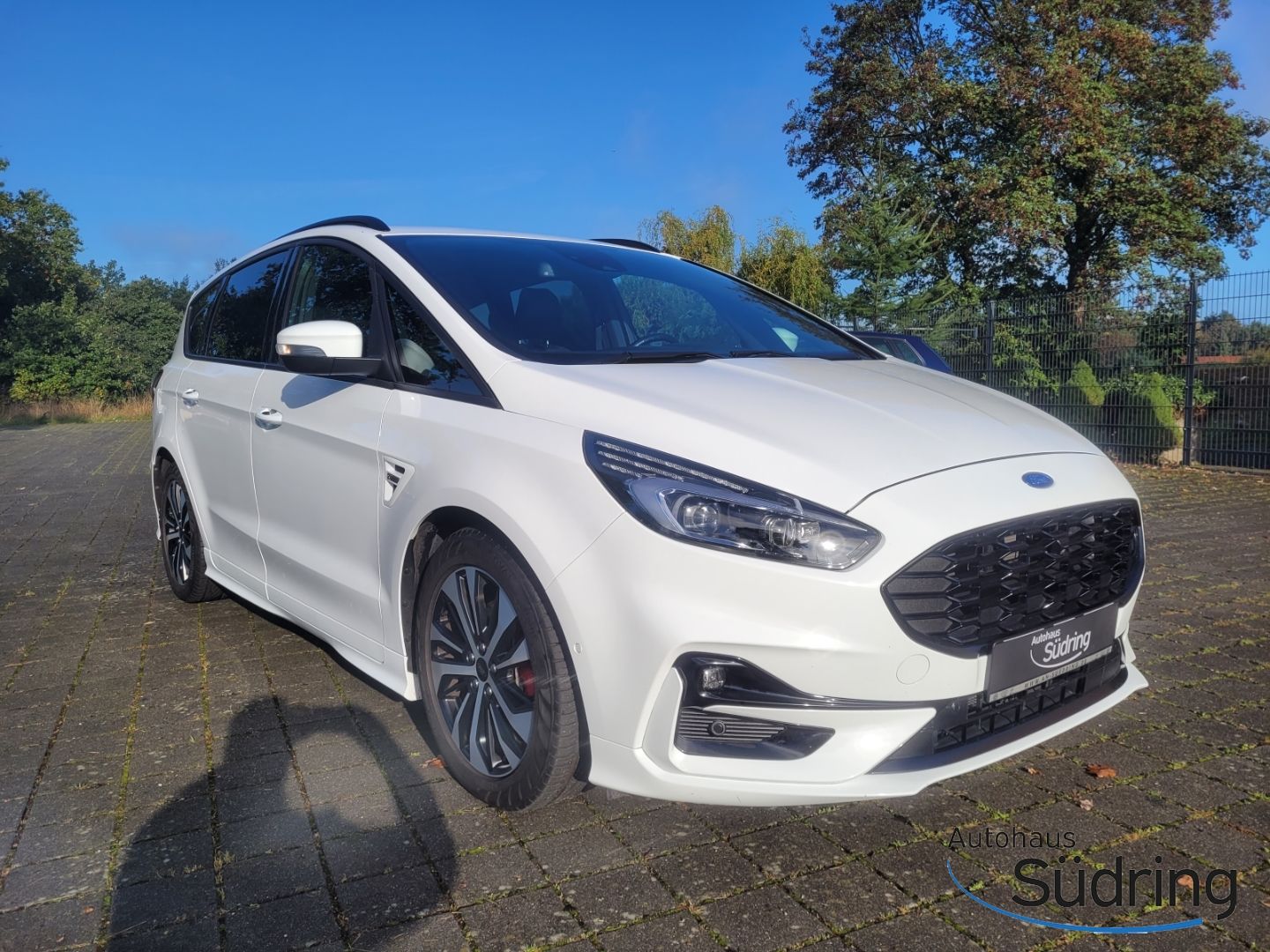 S-Max 2.0 TDI EcoBlue ST-Line Automatik AHK