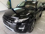 Land Rover Evoque 2.2 SD4*DYNM*AUTM*PANO*RFK*BI-XEN*ZHNR-NE - Land Rover Range Rover Evoque mit Diesel-Antrieb: Geländewagen, 2.2