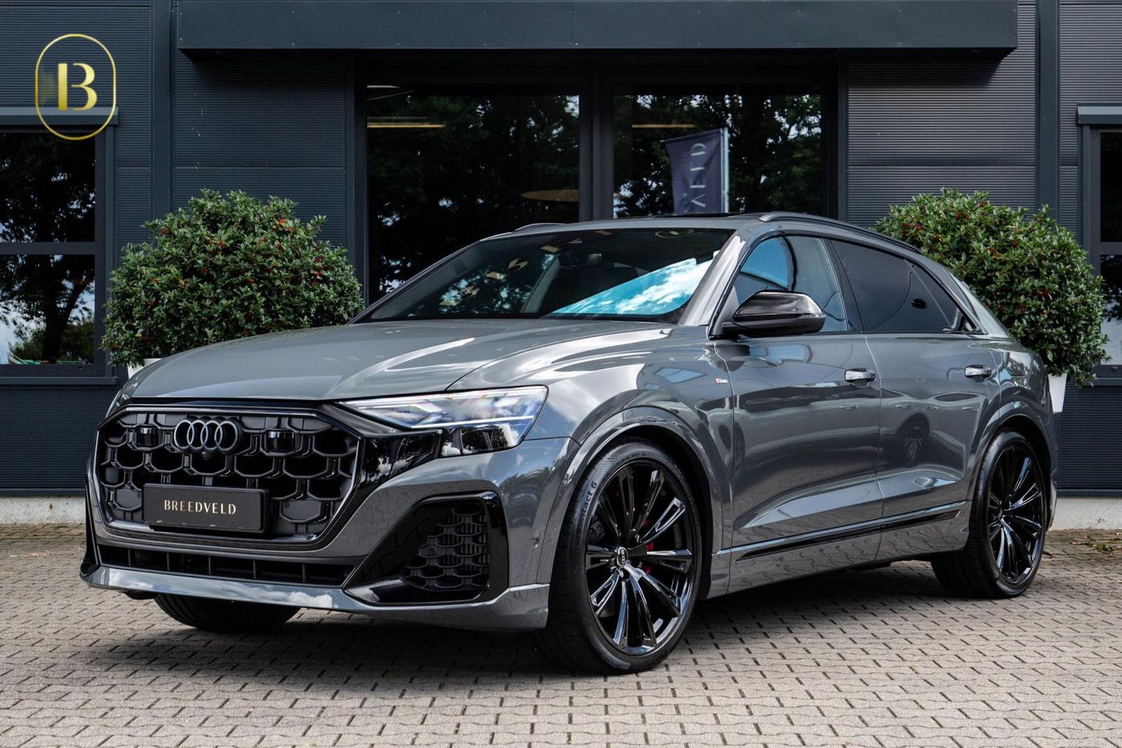 Audi Q8 60 TFSI e Competition 490pk, Nimbus, Full-opt