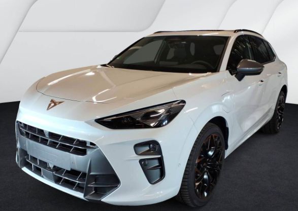 Cupra Terramar - Bild 2