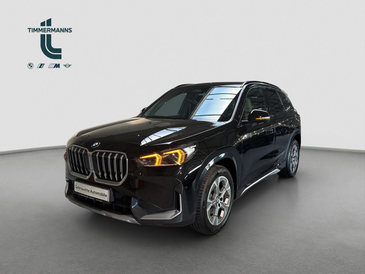 BMW X1 sDrive18i Steptronic Navi DSG LED foto 1