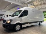 Mercedes-Benz Sprinter 313/316 CDI Maxi Hoch+Lang*Garantie* - Mercedes-Benz Sprinter: Maxi Lang