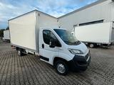 Fiat Ducato Koffer mit Ladebordwand - Holztransporter