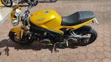 Triumph Speed Trible Gold - Offers matching your search criteria
