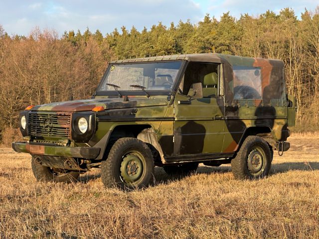 Mercedes-Benz G250 WOLF 250GD ex-army cars