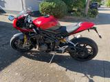 Triumph Speed Triple 1200 RR  - TRIUMPH SPORTLER