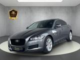 Jaguar XF PORTFOLIO*LEDER*PANO*ACC*LED*4 x SHZ*MERIDIAN - Jaguar XF: Portfolio