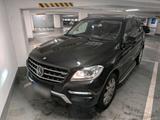 Mercedes-Benz Mercedes Benz ML 350 W 166 Euro6 - Mercedes-Benz ML 350 Gebrauchtwagen in Stuttgart