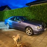 Mercedes-Benz Mercedes CLK 2.3 Kompressor - Mercedes-Benz aus 2000: Coupe, Clk
