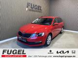 Skoda Octavia Combi 1.0 TSI Tour Navi|SHZ|ALU|ACC|Klim - Skoda: Tour