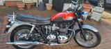 Triumph Bonneville T100 - TRIUMPH BONNEVILLE T100