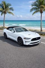 Ford Mustang 2,3 Liter EcoBoost - Ford Mustang Gebrauchtwagen in Düsseldorf