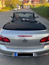 Volkswagen Golf 1.6 TDI BlueMotion Technology Cabriolet... - Volkswagen Golf mit Diesel-Antrieb: Cabrio, 1.6