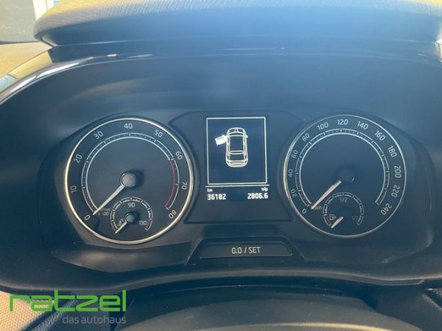 Fahrzeugabbildung SKODA Fabia Active 1.0 LED Sperrdiff. DAB Spurhalteass