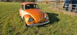Volkswagen VW Käfer 1600i MEXICO, Bj 1996 im Custom Look - Volkswagen: Mexico