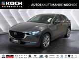 Mazda CX-30 SKY-G 150PS BOSE 360-KAMERA  MATRIX - Mazda CX-30 Gebrauchtwagen in Berlin