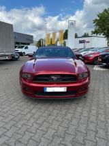 Ford Mustang Convertible V6 3,7 L - Ford Mustang in Solingen