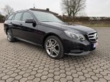 Mercedes-Benz E 350 E -Klasse T-Modell E 350 BlueTec 4Matic - Mercedes-Benz E 350 mit Diesel-Antrieb: Kombi