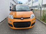 Fiat Panda Base - Fiat Panda mit Hybrid-Antrieb