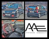 Fiat Panda 1.4 16V 100HP Pandemonio *Klima/TÜV NEU* - Fiat Panda aus 2008
