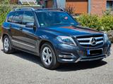 Mercedes-Benz GLK 250 BlueTEC 4MATIC - AHK, Panorama - Mercedes-Benz GLK-Klasse in Wuppertal