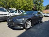 Audi A5 Sportback 35 TDI S tronic 1.Hd/Hu/Insp Neu - Audi A5 35 TDI Gebrauchtwagen