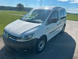 Volkswagen VW Caddy 4 2,0 TDI LKW-Zulassung 2-Sitzer - Volkswagen Caddy: Lkw Zulassung