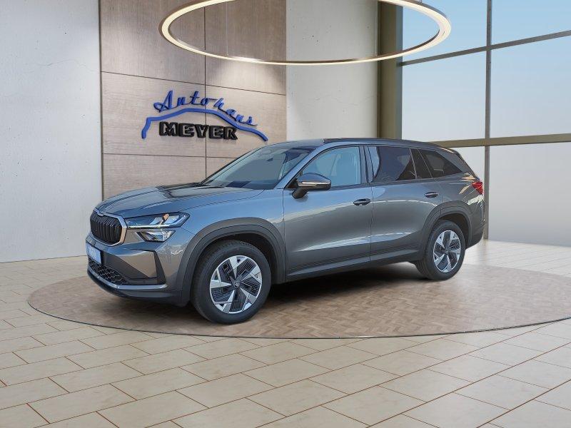 Skoda Kodiaq 2,0TSI DSG 4x4 AHK/4*J.Gar/Navi/el.Klappe