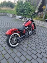 Harley-Davidson Softail  - Harley-Davidson Motorräder in Mainz