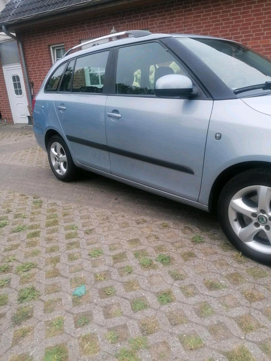 Skoda Fabia 2010 — rear view