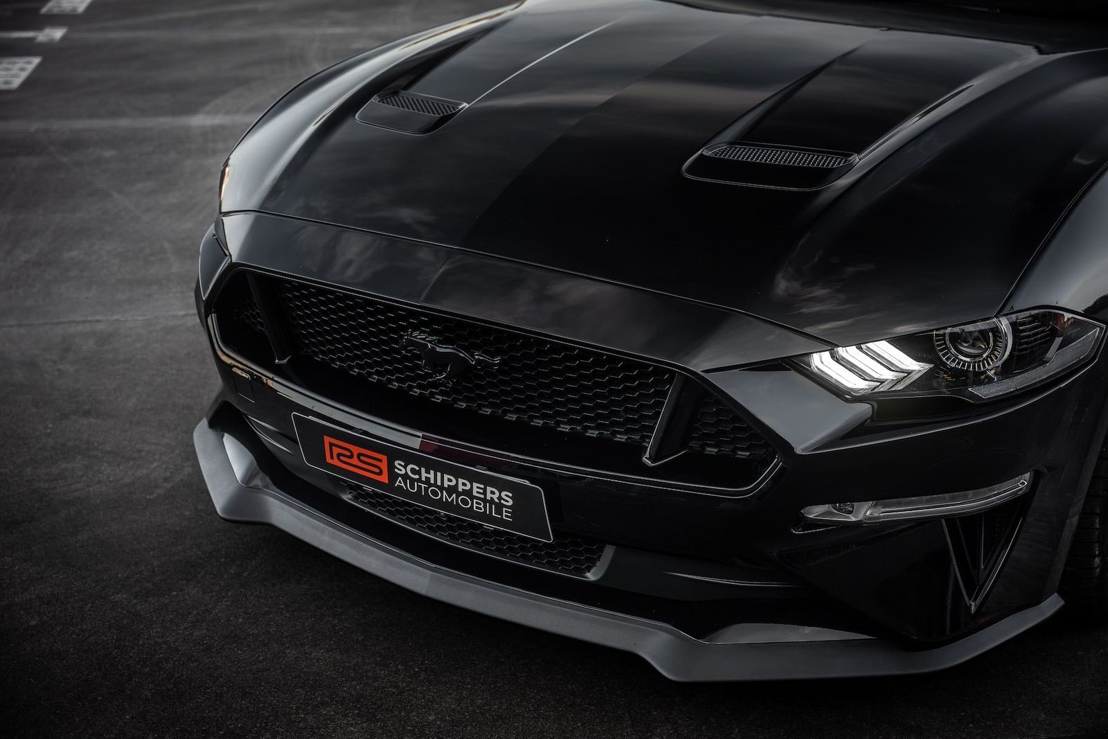 Fahrzeugabbildung Ford Mustang 5.0 Ti-VCT V8 Fast. GT|BESONDERE EXTRAS!