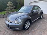 Volkswagen Beetle Lim. Design,AUTOMATIK,ALLWETTER ALU - Volkswagen Beetle aus 2012 mit Diesel-Antrieb