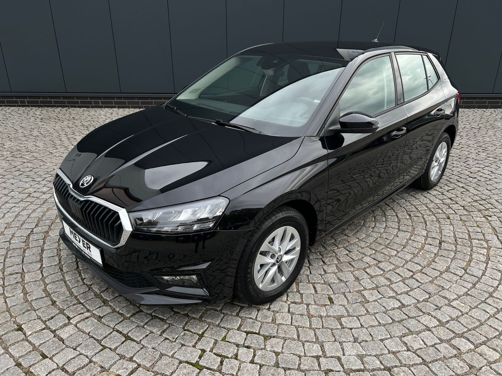 Fahrzeugabbildung SKODA Fabia Edition 130 1.0 TSI DSG *Garantie, LED, 15