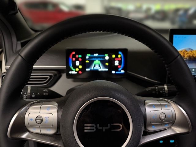 BYD DOLPHIN SURF
