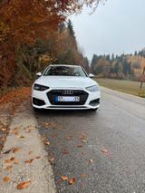 Audi A4 40 TDI S tronic advanced Avant advanced - Audi A4 Advanced mit Hybrid-Antrieb (Diesel-Elektro)